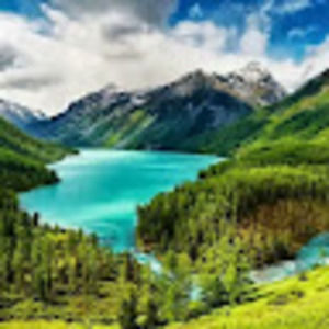 Meet your Posher, Marvin